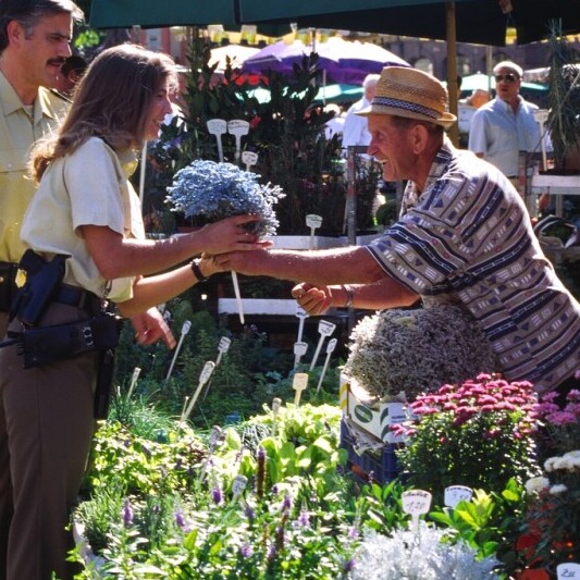 A traveler chatting with friendly locals at a marketplace